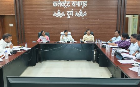 कलेक्टर ने राजस्व संबंधी प्रकरणों की ली समीक्षा बैठक, अधिकारियों को दिए आवश्यक निर्देश