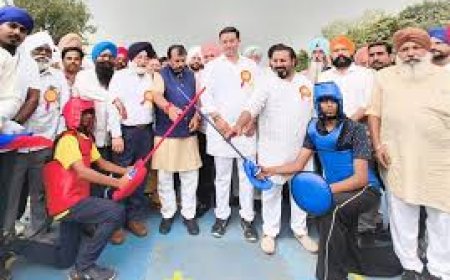 भिलाई में चमका गतका…पंजाब बना चैंपियन...